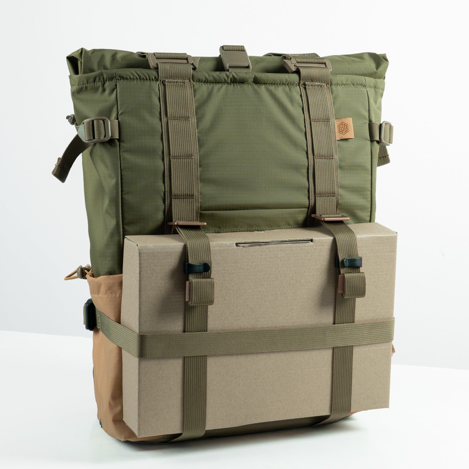 The Transition - Earth